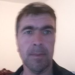 , , 49 