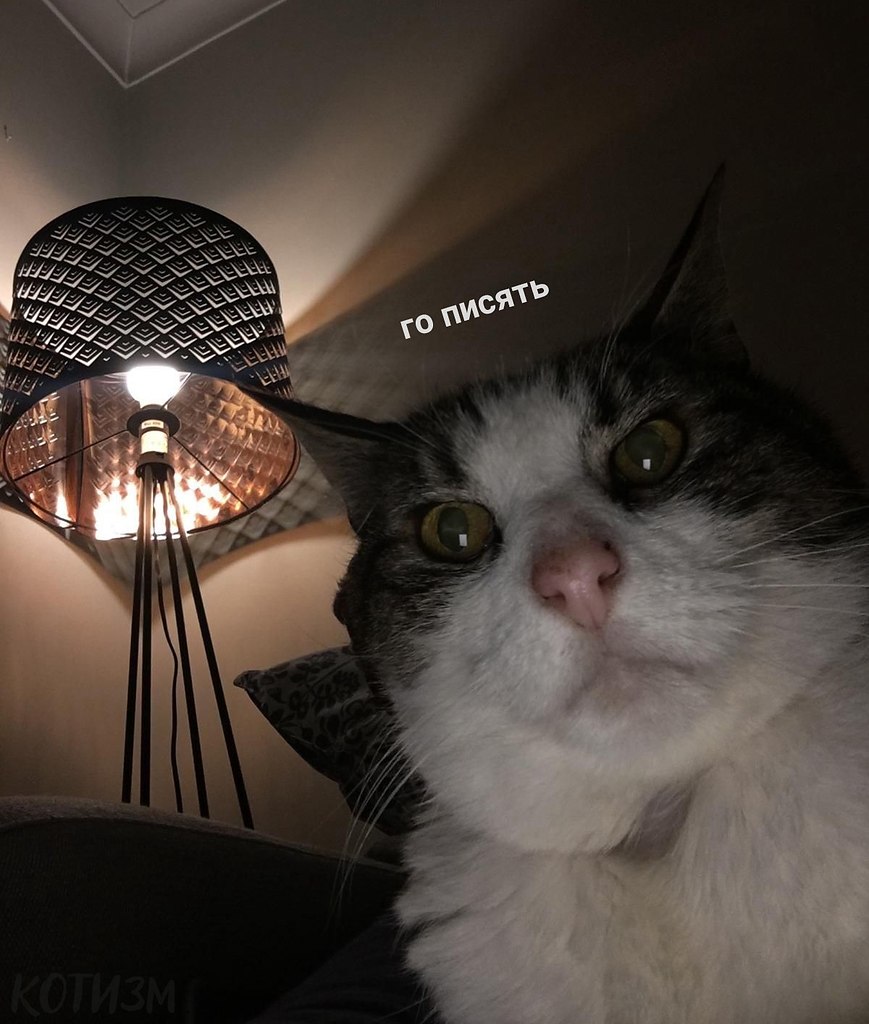 : *-        *.  :
