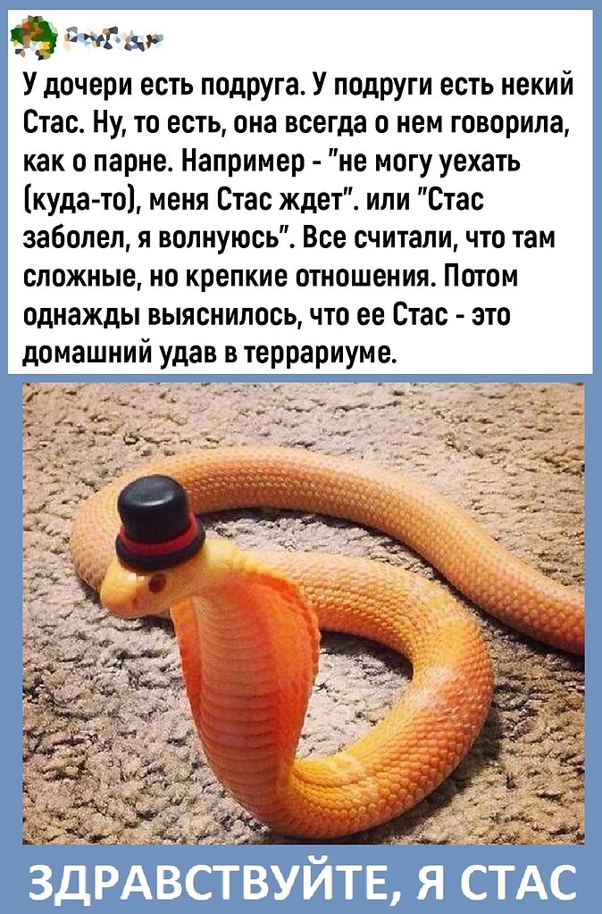 ,      ...