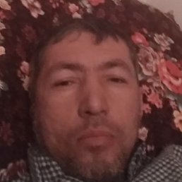 ����, �������, 44 ����