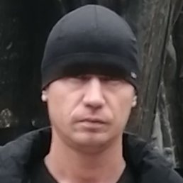 �������, ������, 41 ���