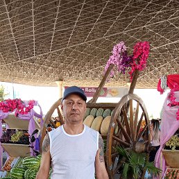 ���� ��������, �������, 52 ���� - ��������� 5 �������� 2022