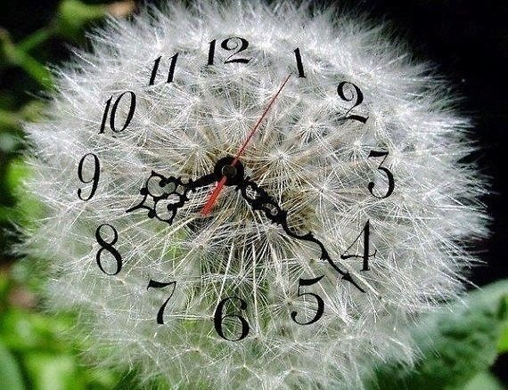  - 16  2022  00:39