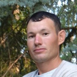 ������, ���, 29 ���