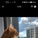 ���� ��������, ���������, 36 ��� - ��������� 23 ������ 2022 � ������ ���� ����������