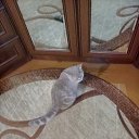 ���� Sasha, ������ ��������, 56 ��� - ��������� 14 �������� 2022 � ������ ���������