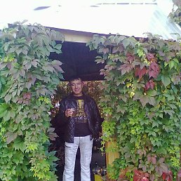 ������ �������, �����, 44 ����