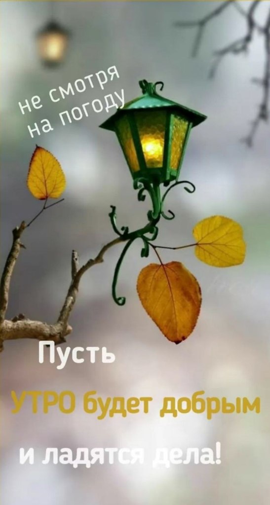   ! - 18  2022  06:29