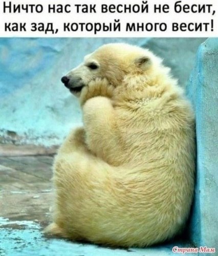 "����� ������� ������ � ������ ��� ����� ���������� ���������." ������