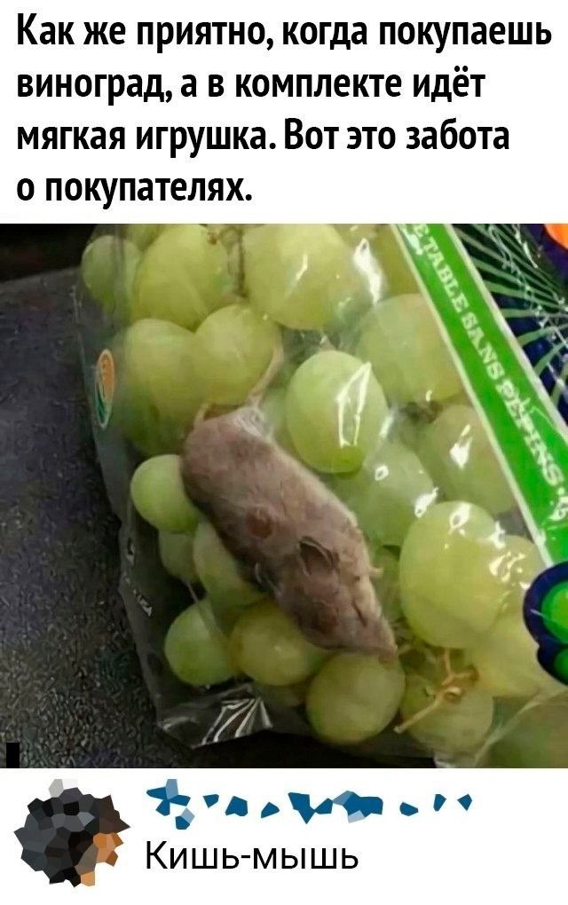    - 7  2023  14:37