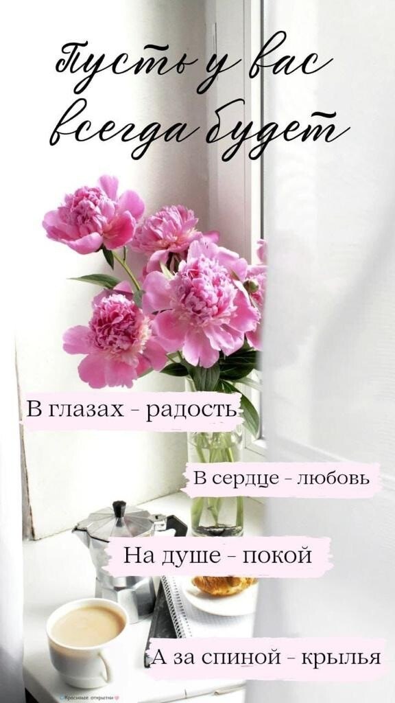   ,    . - 24  2022  19:16