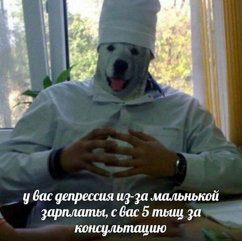    - 6  2022  04:33