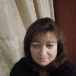  , , 41  -  31  2023