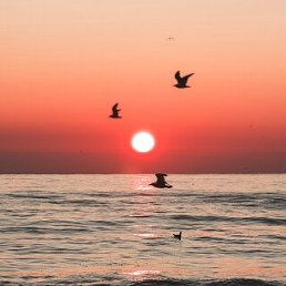 ���� ������, ��������, 69 ��� - ��������� 3 ������� 2023