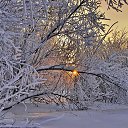  ,  -  10  2023    