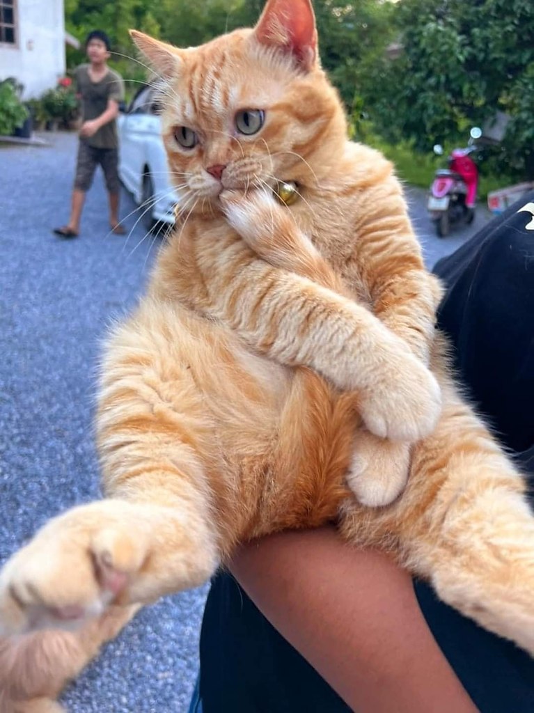 -)))