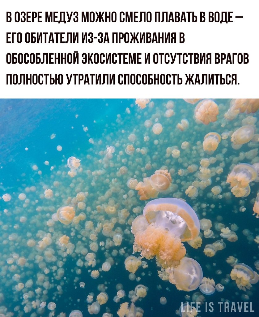 LIFE -  - 23  2022  01:34 - 2