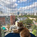 ���� �������, ������, 63 ���� - ��������� 18 ������� 2022