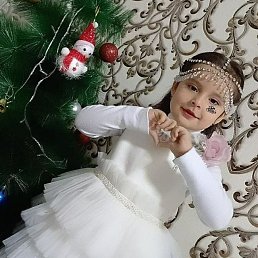 ���� Olim, �������, 41 ��� - ��������� 8 ������ 2023