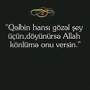  Eldost, , 44  -  19  2022
