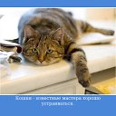 ���� ����, ���������, 54 ���� - ��������� 22 ������� 2022 � ������ ������ ��������