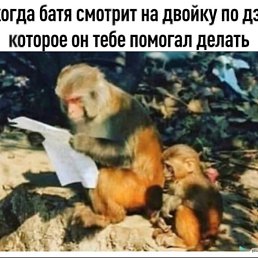 San, ������, 49 ���