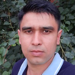 �����, �����-���������, 38 ���