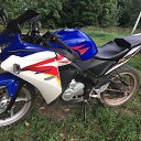 ���� �������, �������, 38 ��� - ��������� 22 ������� 2022 � ������ ������ ��������