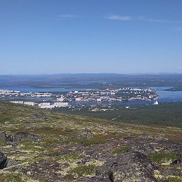 ������, ����������, 37 ���