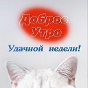 ���� ������, ���������, 39 ��� - ��������� 11 ������� 2023 � ������ ���� ����������