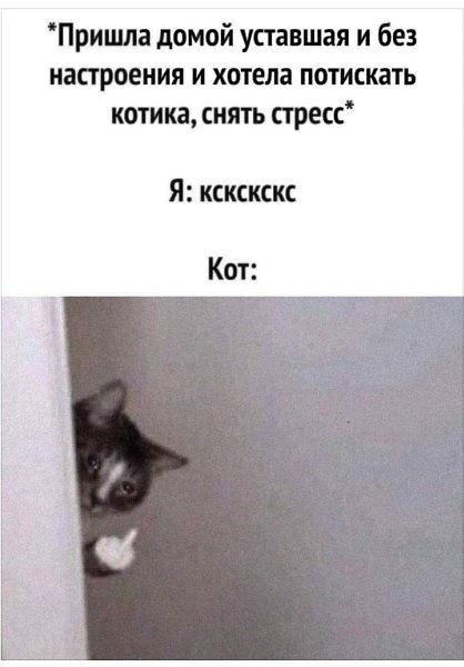  - 20  2022  19:27