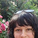 ���� ����, ����, 52 ���� - ��������� 24 ������� 2022