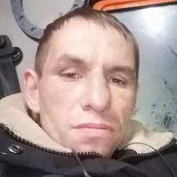 ����, ������, 41 ���