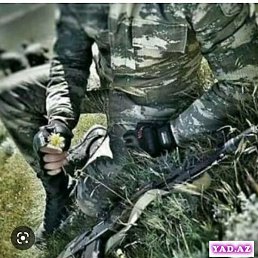 Arif, ����, 36 ���