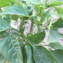 ���� ������, ������ - ��������� 23 ������� 2022 � ������ ���� ����������