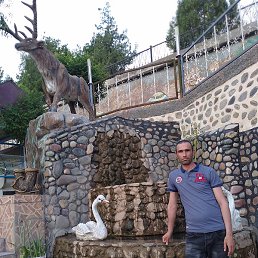 Natiq, ����, 43 ����