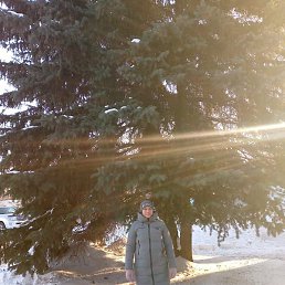 ���������, ���������, 37 ���