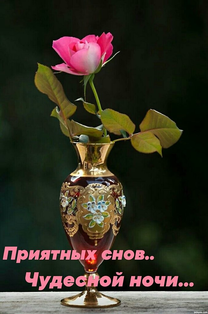   ,    . - 15  2022  21:16 - 3