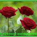 ���� ���������, ����������� - ��������� 26 ����� 2022 � ������ ���� ����������