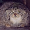 ���� ������, ��������, 59 ��� - ��������� 6 ������� 2023