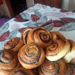 ���� ��������, ���������, 54 ���� - ��������� 29 ������ 2022