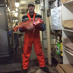 ���� ���������, ��������, 68 ��� - ��������� 15 ������� 2022