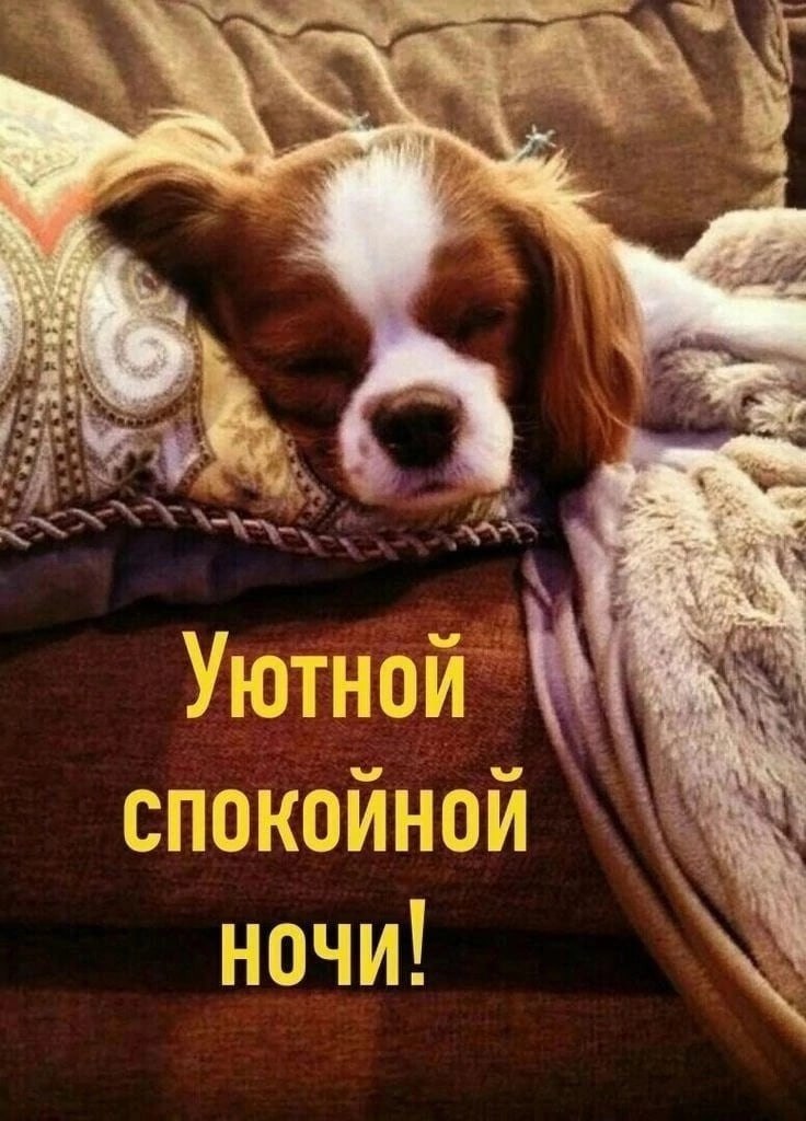   ,    . - 14  2022  21:12 - 10