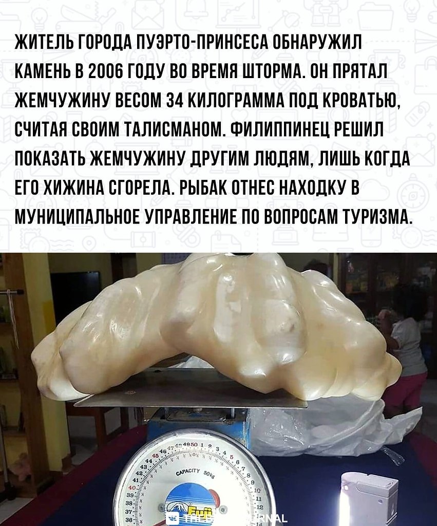 BEST | , ,  - 15  2022  08:19 - 3