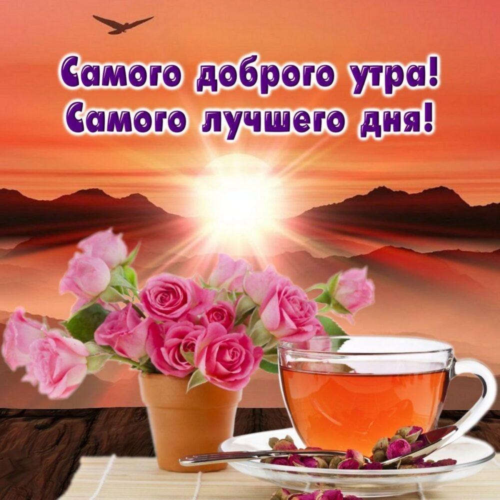   - 6  2022  08:26
