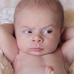 �������, ������, 29 ���