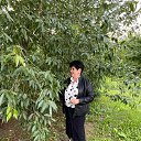 ���� �������, ���������, 65 ��� - ��������� 4 �������� 2022 � ������ ���� ����������