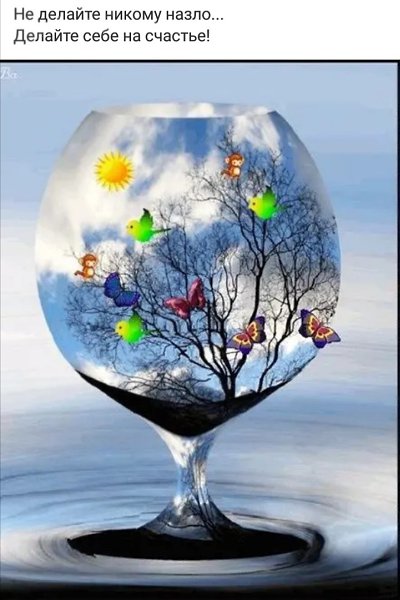 ***Victoria Viktorovna*** - 16  2022  05:31