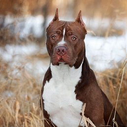 ���� ������, ������, 45 ��� - ��������� 9 ������ 2022