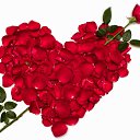 ���� Ail, ������, 41 ��� - ��������� 4 ������� 2023